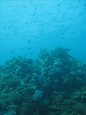 Similan Day 1 029.jpg
